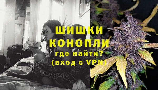 сатива Липки