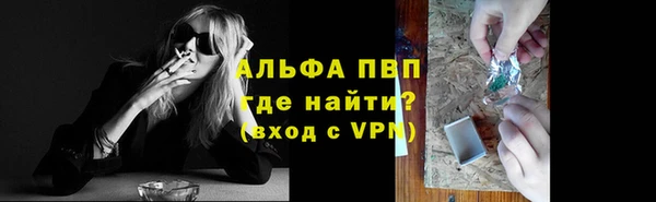 сатива Липки