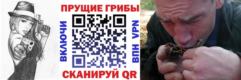Псилоцибиновые грибы прущие грибы  Купить закладки  Бирск 